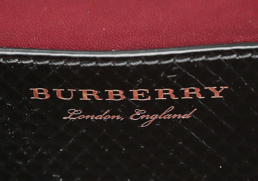 Burberry Bicolor Python Pochette Frame Bag