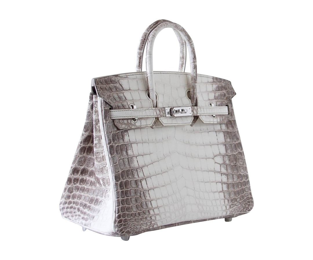 Top quality Hermes Birkin 25 Bag Blanc Himalaya Exquisite Jewel Palladium Hardware