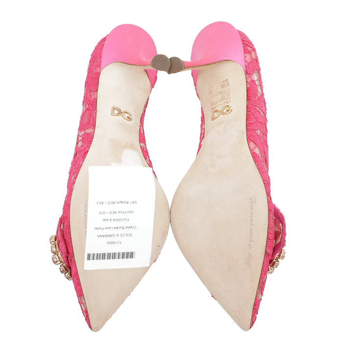 Dolce & Gabbana Fuchsia Lace Crystal Buckle Pump 38