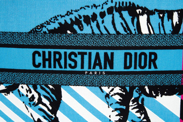 Christian Top quality Dior Pink &  Blue Zebra Printed Book Tote