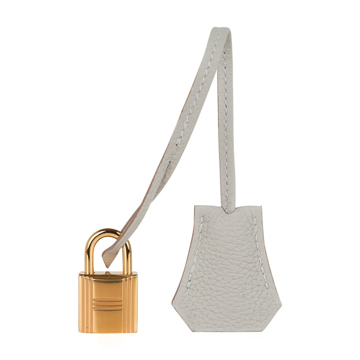 Top quality Hermes Birkin 25 Bag Gris Perle Togo Gold Hardware