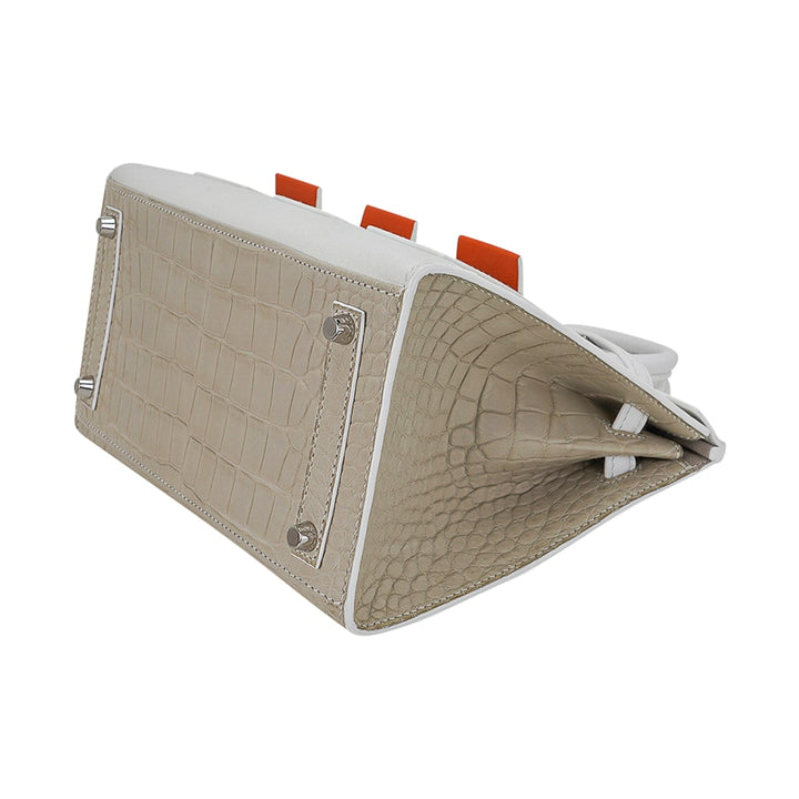 Top quality Hermes Limited Edition Birkin 20 Faubourg Sellier Bag Neige (Snow) White Matte Alligator