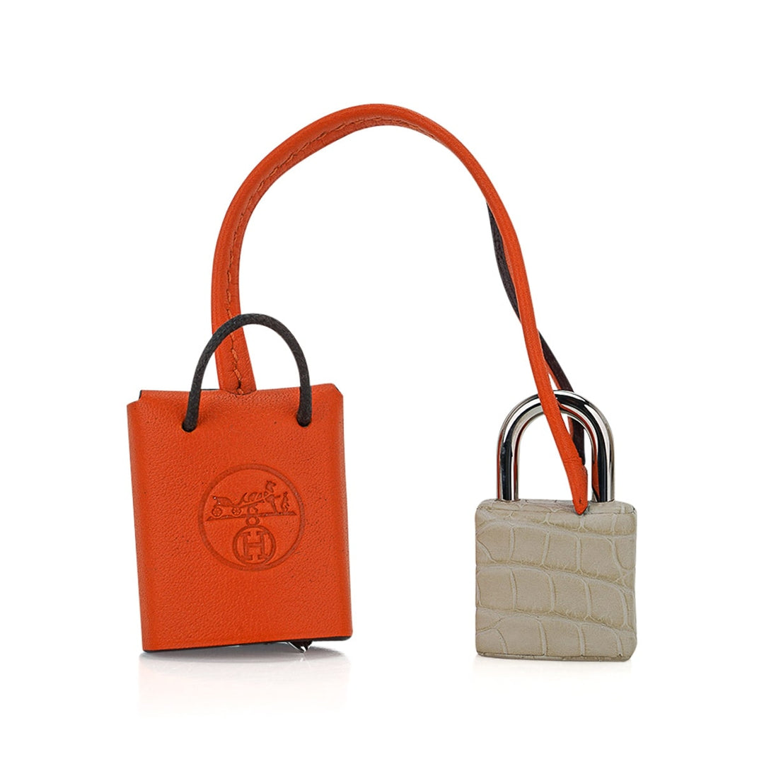 Top quality Hermes Limited Edition Birkin 20 Faubourg Sellier Bag Neige (Snow) White Matte Alligator