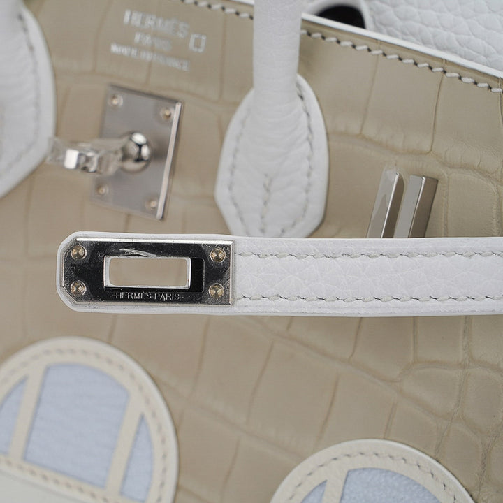 Top quality Hermes Limited Edition Birkin 20 Faubourg Sellier Bag Neige (Snow) White Matte Alligator