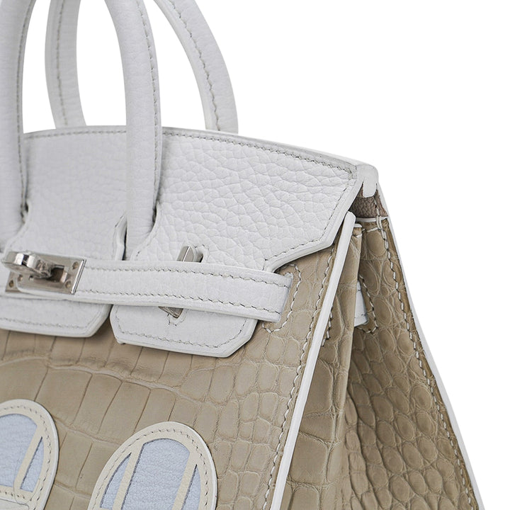 Top quality Hermes Limited Edition Birkin 20 Faubourg Sellier Bag Neige (Snow) White Matte Alligator