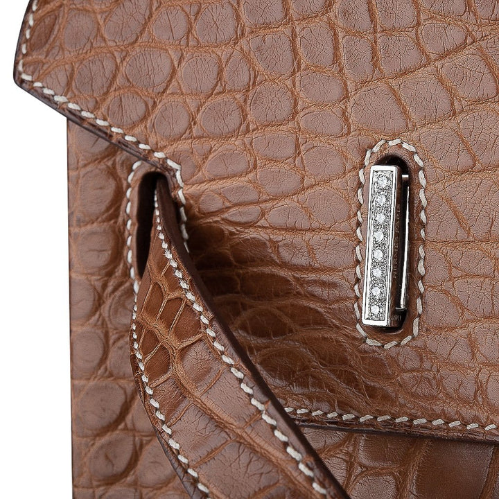 Top quality Hermes Diamond Birkin 35 Bag Fauve Barenia Matte Alligator Rare