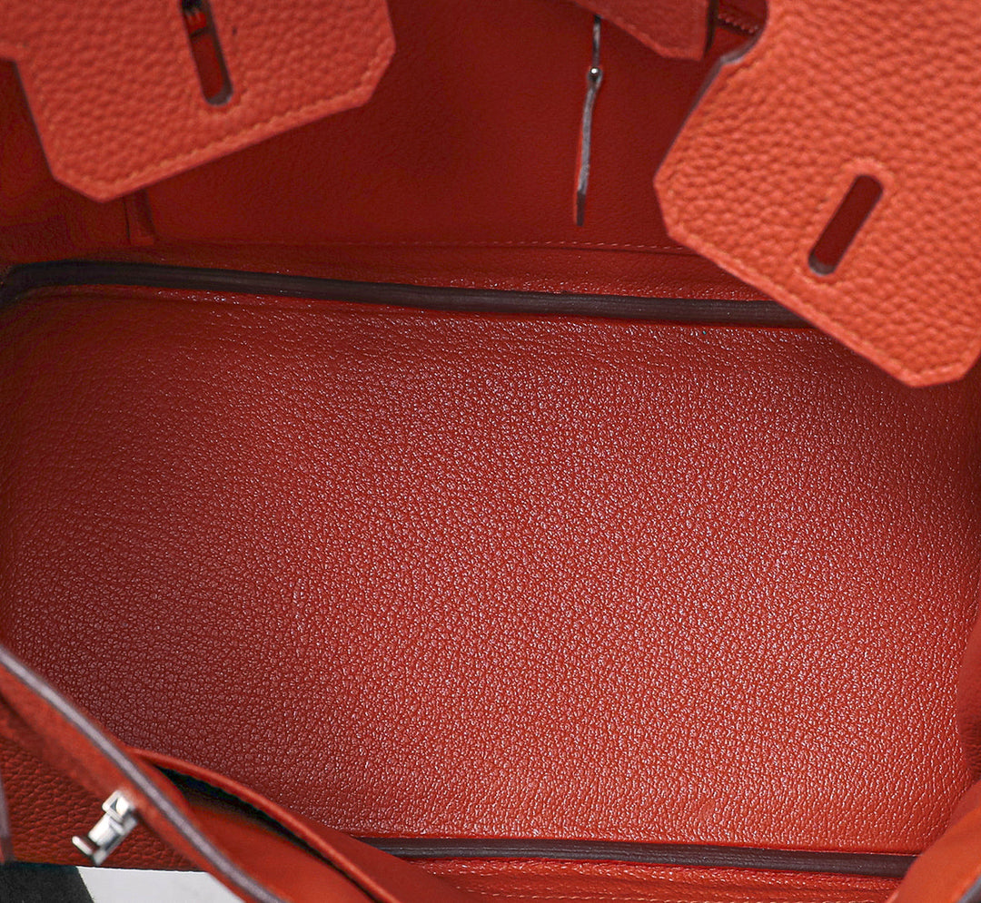 Hermes Feu Birkin 25