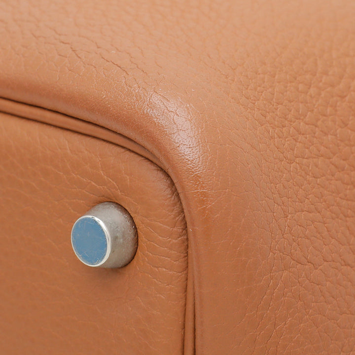 Hermes Gold Picotin 18 Bag