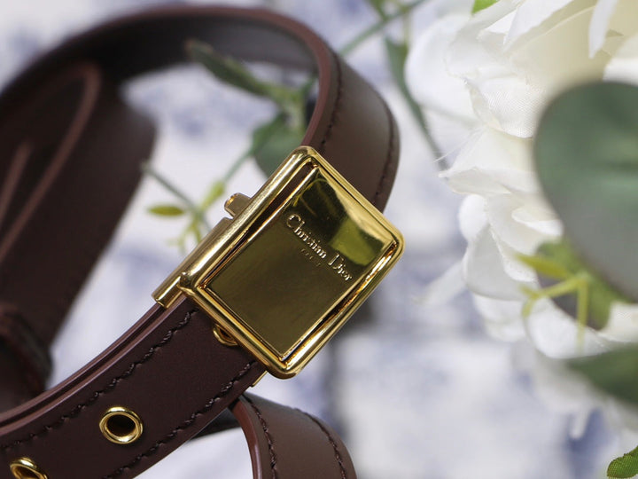 Christian Dior 30 Montaigne Bag
