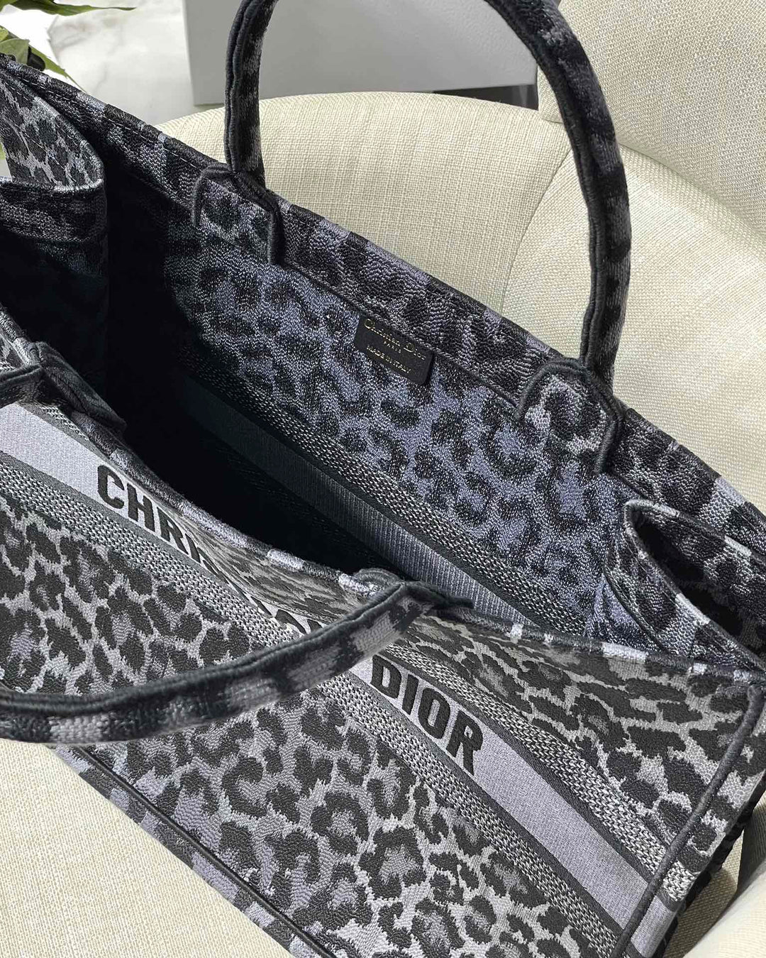 Christian Dior Book Tote Bag