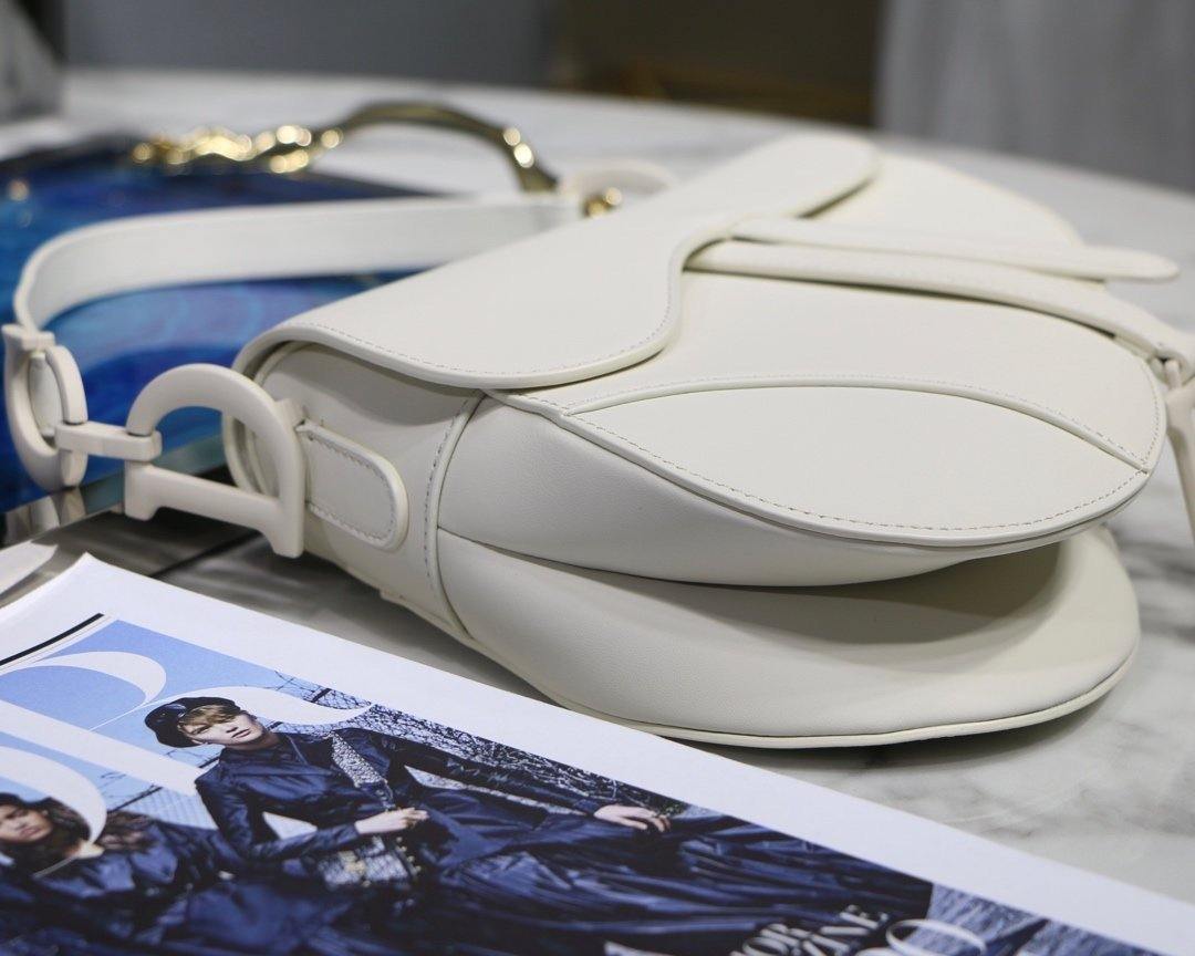 Christian Dior Saddle Bag