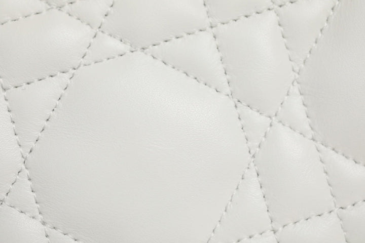 Christian Dior Small Vibe Hobo Bag