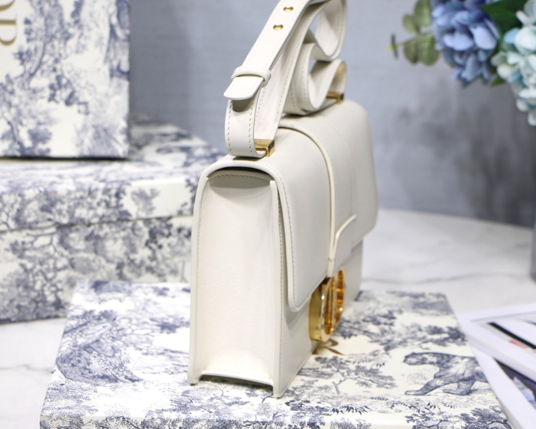 Christian Dior 30 Montaigne Bag
