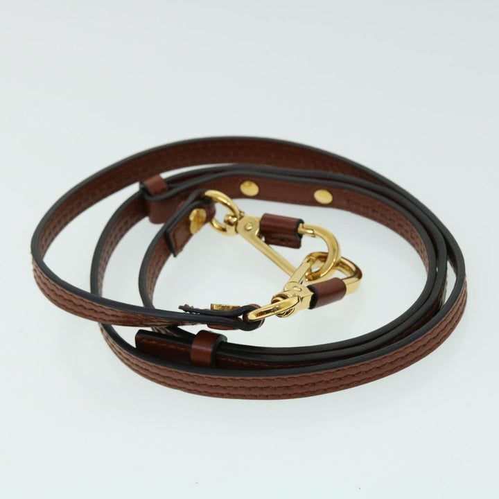 Chloe Chain Mini Annie Hand Bag Leather 2way Brown ki3449