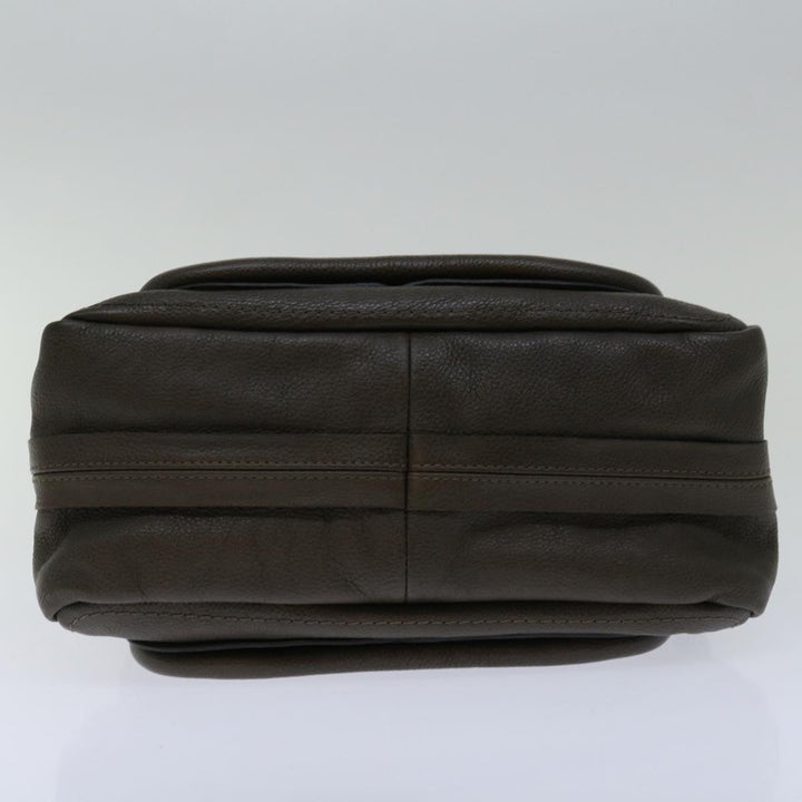 Chloe Mini Paraty Hand Bag Leather 2way Brown ki4277