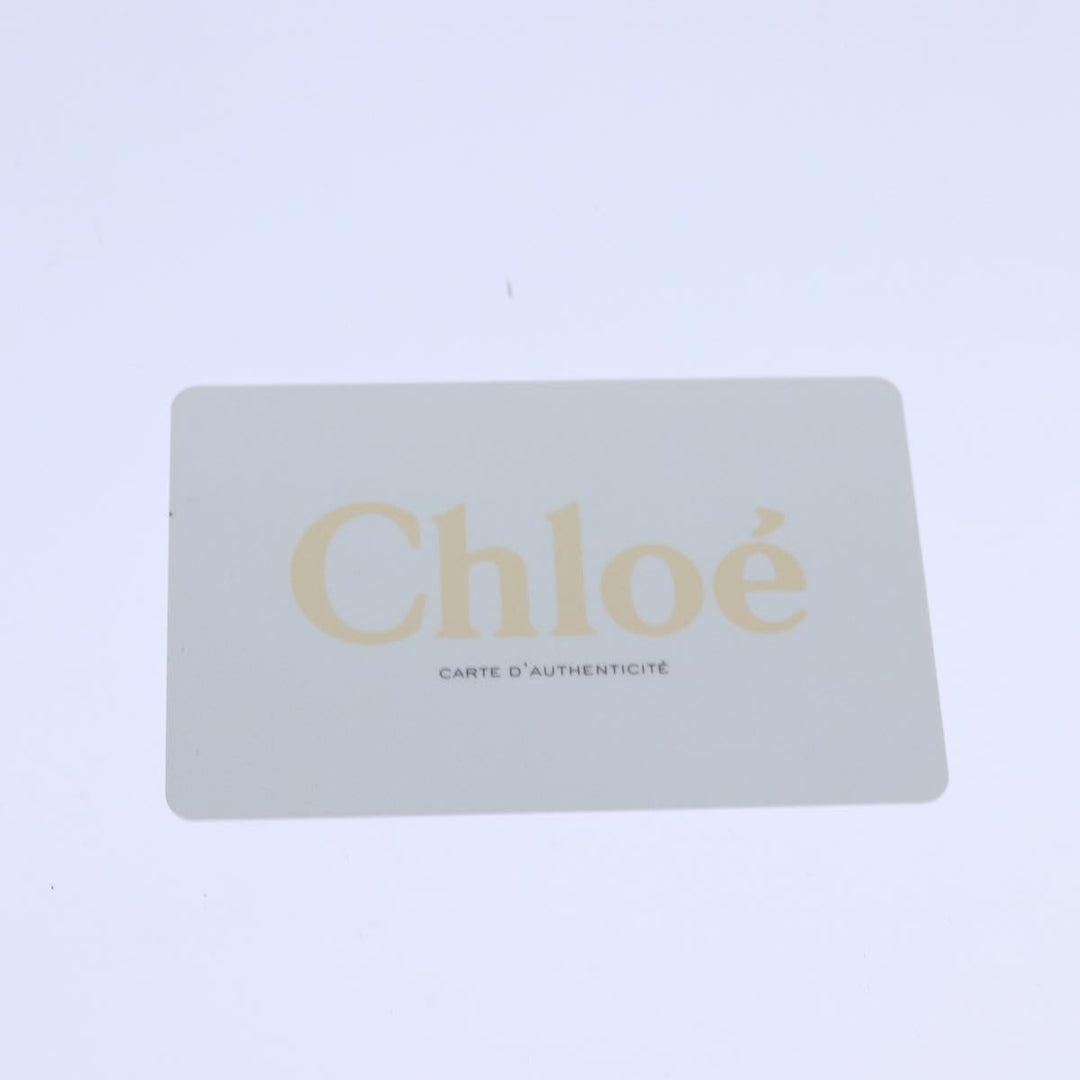 Chloe Mini Paraty Hand Bag Leather 2way Black 02 15 50 65 ki4561