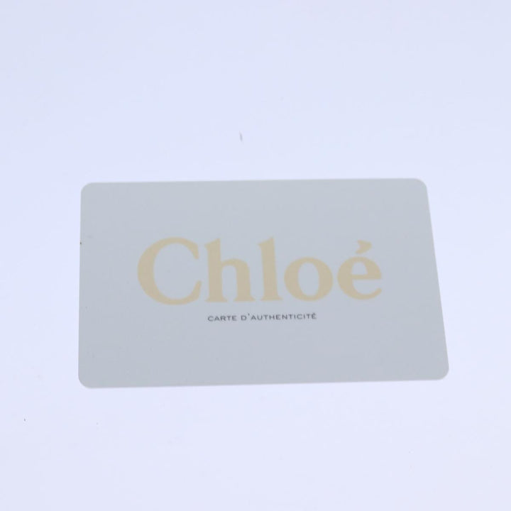 Chloe Mini Paraty Hand Bag Leather 2way Black 02 15 50 65 ki4561