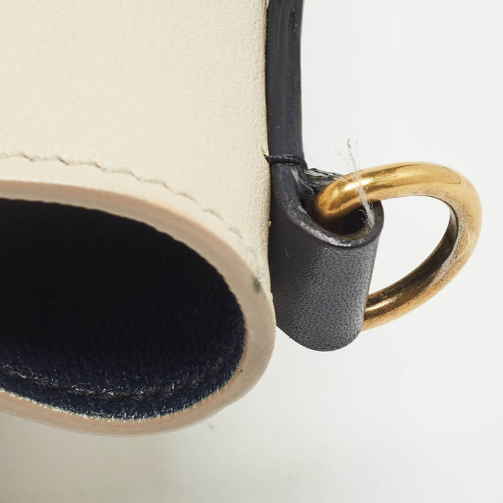 Celine Tricolor Leather Nano Luggage Tote