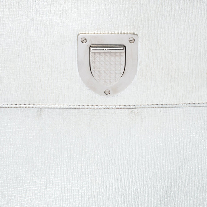 Top quality Dior Metallic Silver Leather Medium ever Bag