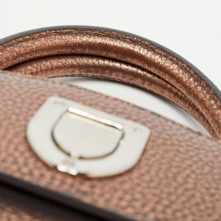 Top quality Dior Bronze Leather Mini ever Tote