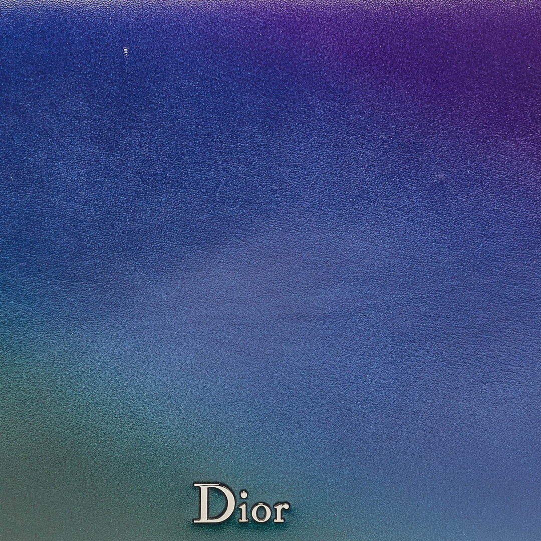 Top quality Dior Multicolor Ombre Leather Flap Bag