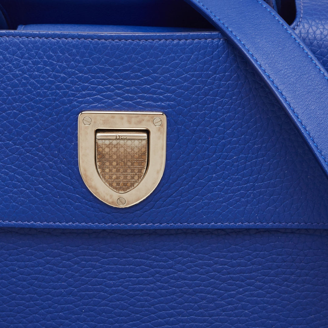 Top quality Dior Blue Leather Medium ever Tote