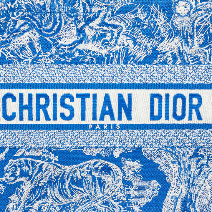 Top quality Dior Blue/White Embroidered Canvas Medium Toile de Jouy Book Tote