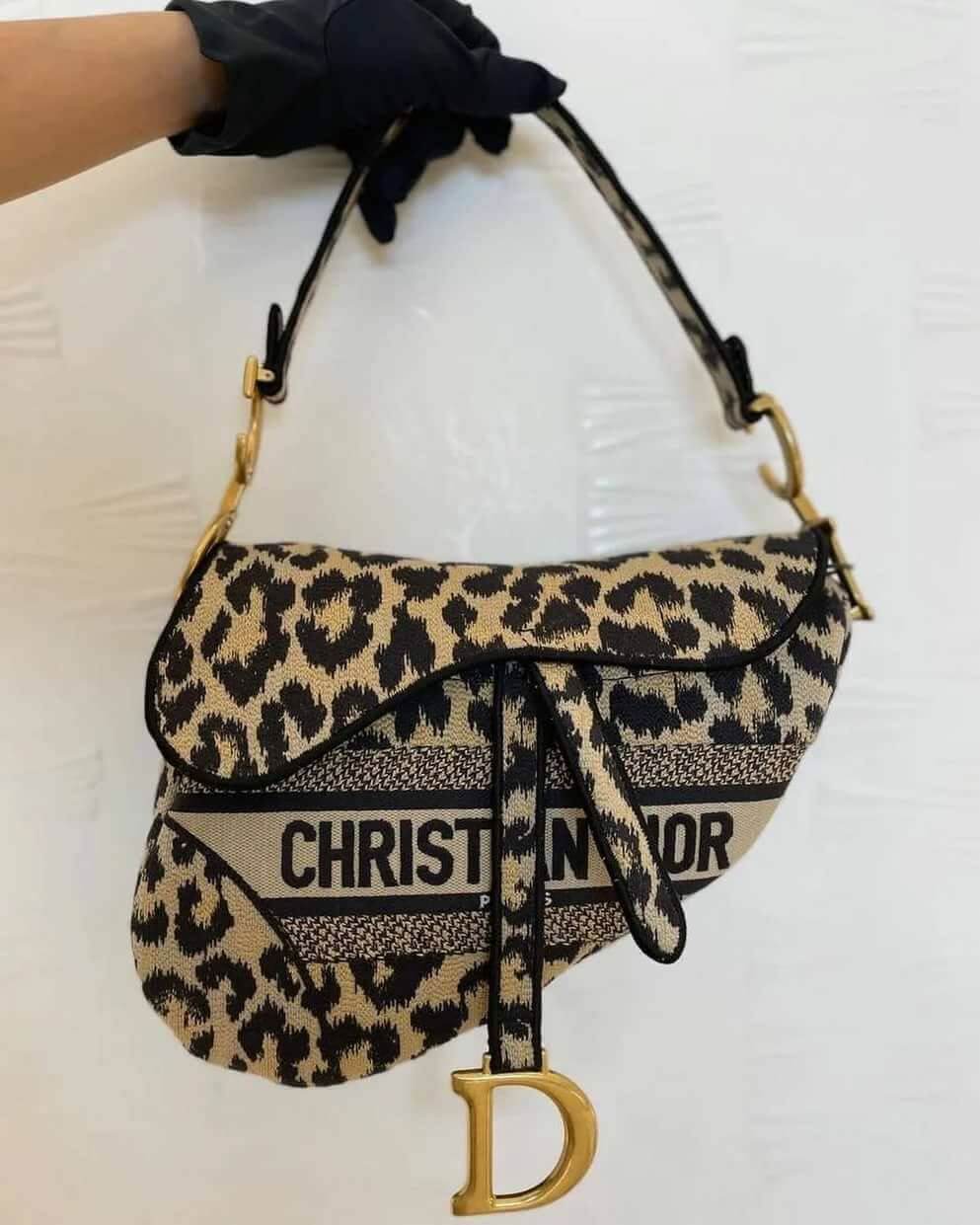 Top quality Dior SADDLE BAG Beige Multicolor Mizza Embroidery