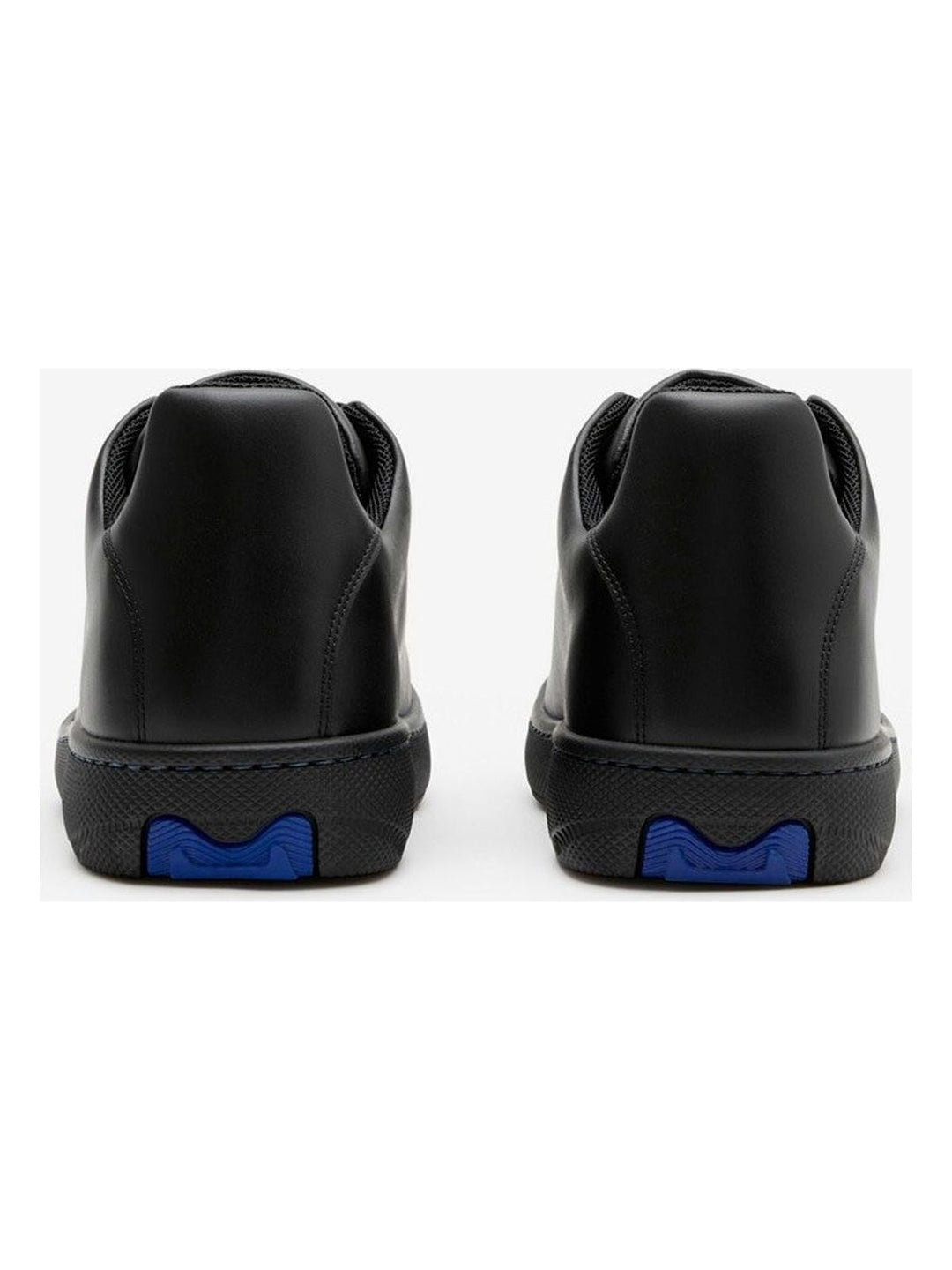Box Sneakers
