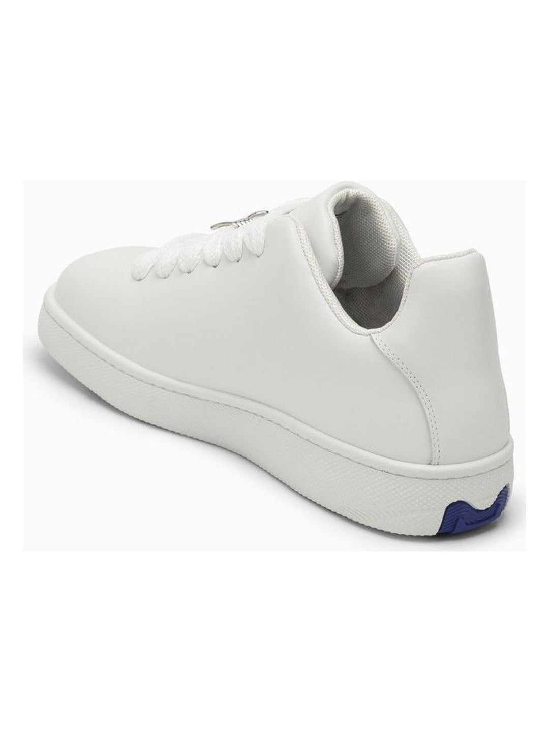 Box Sneakers
