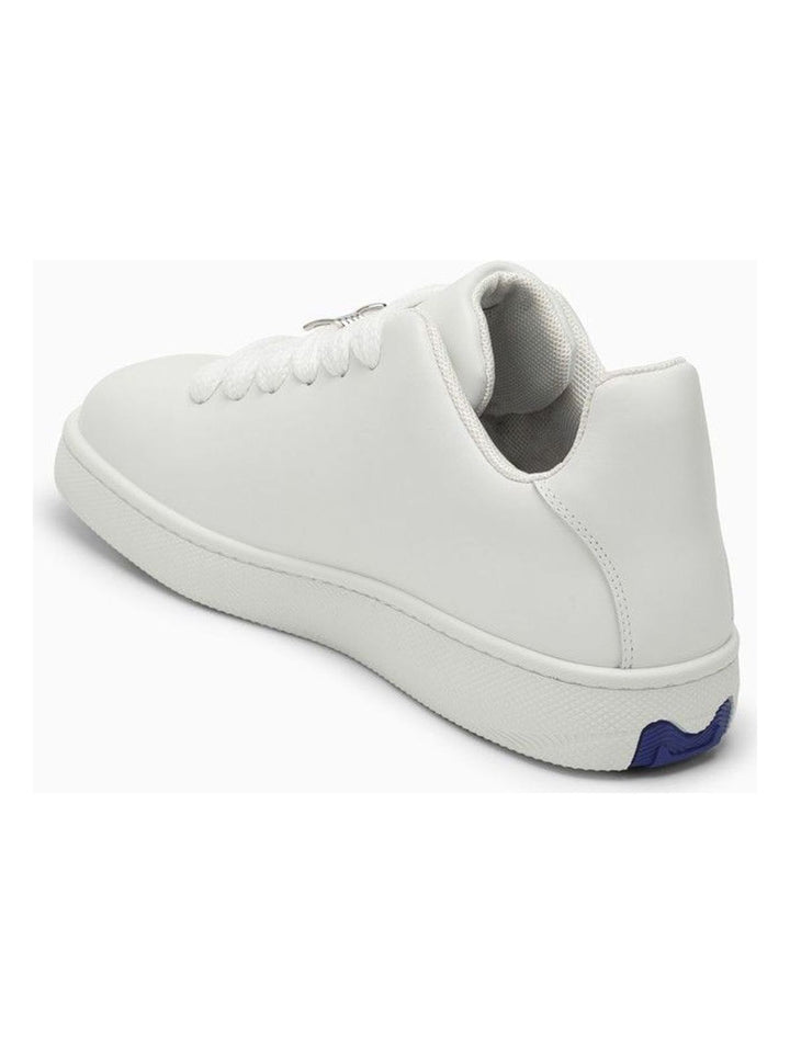 Box Sneakers