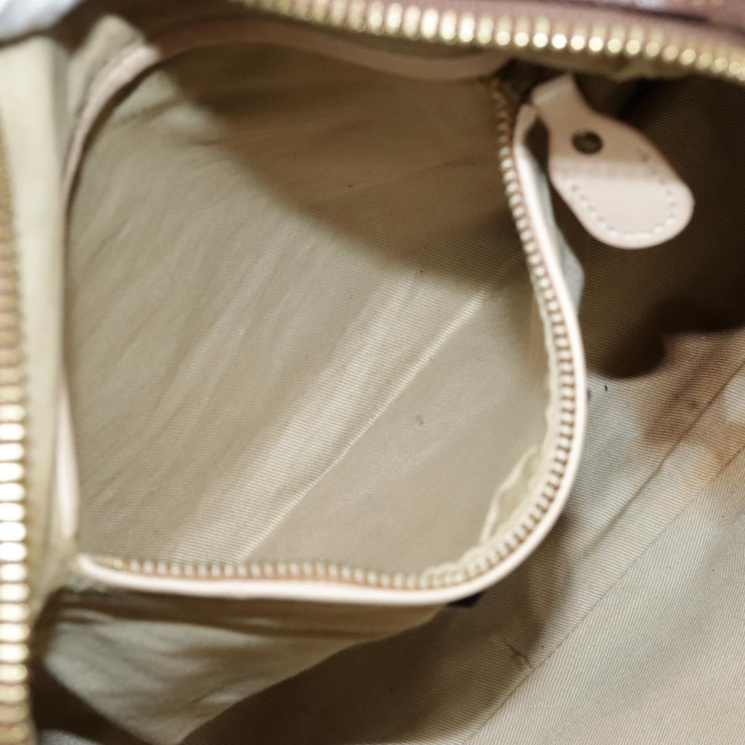 Chloe Paraty Hand Bag Leather 2way Brown Gold tb1210