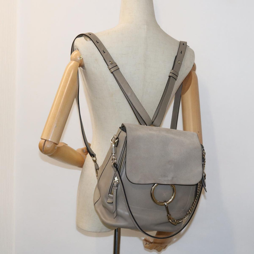 Chloe Fay Shoulder Bag Leather 2way Gray tb882
