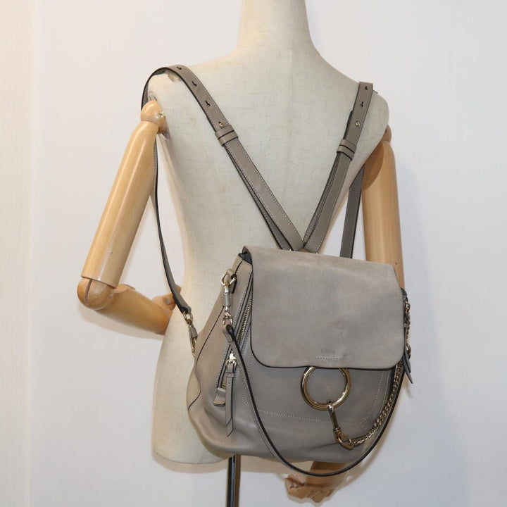Chloe Fay Shoulder Bag Leather 2way Gray tb882