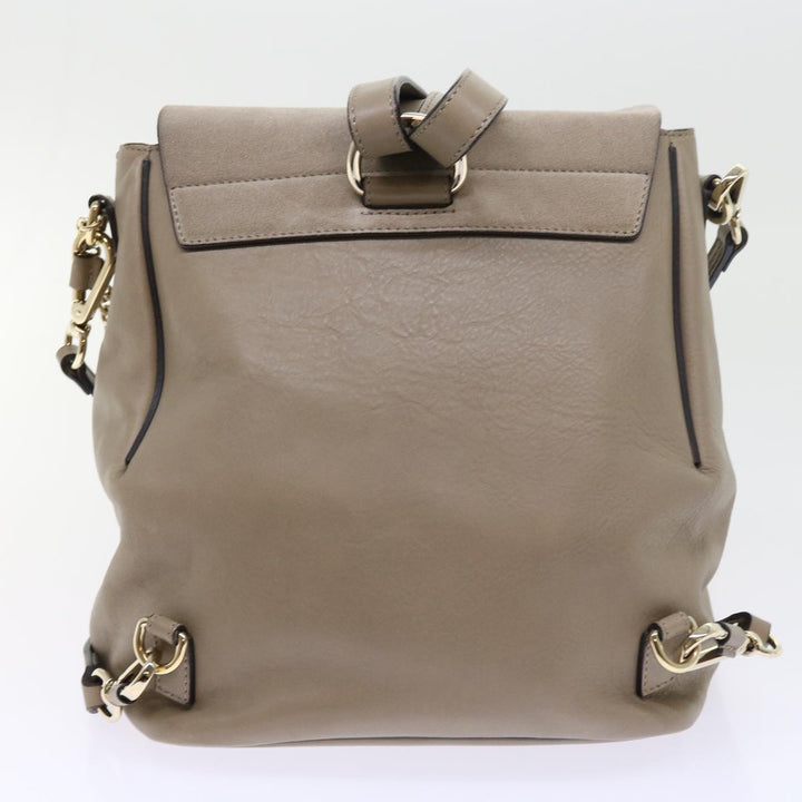 Chloe Fay Shoulder Bag Leather 2way Gray tb882