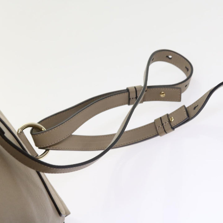 Chloe Fay Shoulder Bag Leather 2way Gray tb882