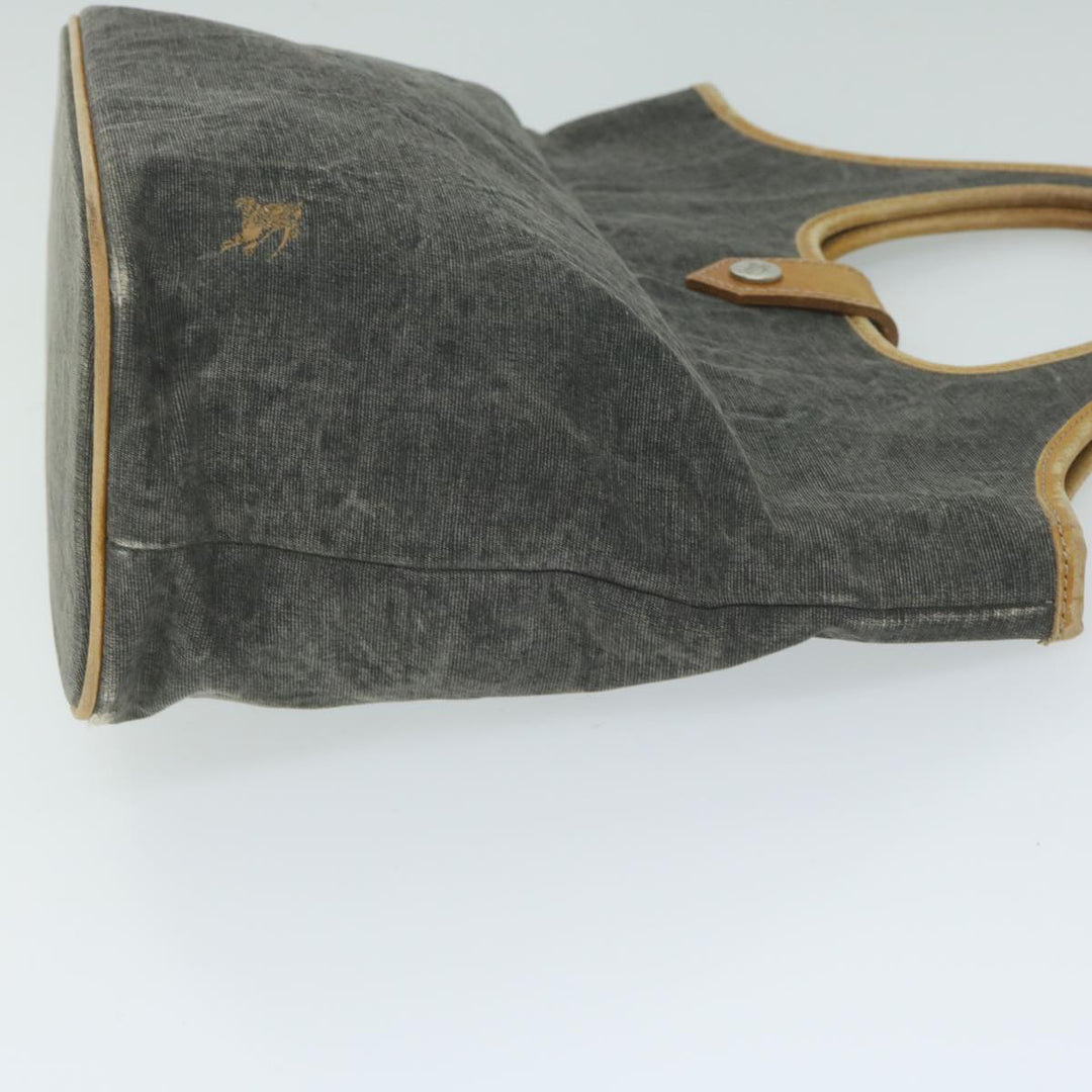 Burberry Blue Label Hand Bag Canvas Gray Auth ti1388
