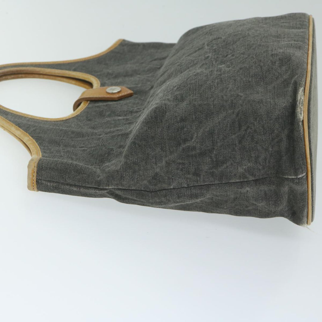 Burberry Blue Label Hand Bag Canvas Gray Auth ti1388