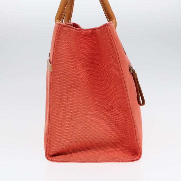 Burberry Blue Label Hand Bag Canvas Leather Orange Brown Auth ti2027