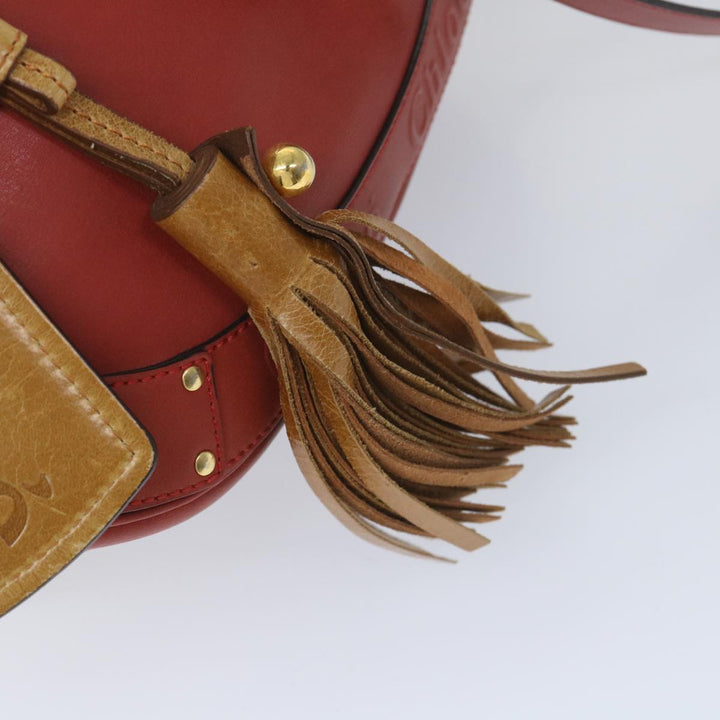 Chloe Eden Shoulder Bag Leather Red yb404