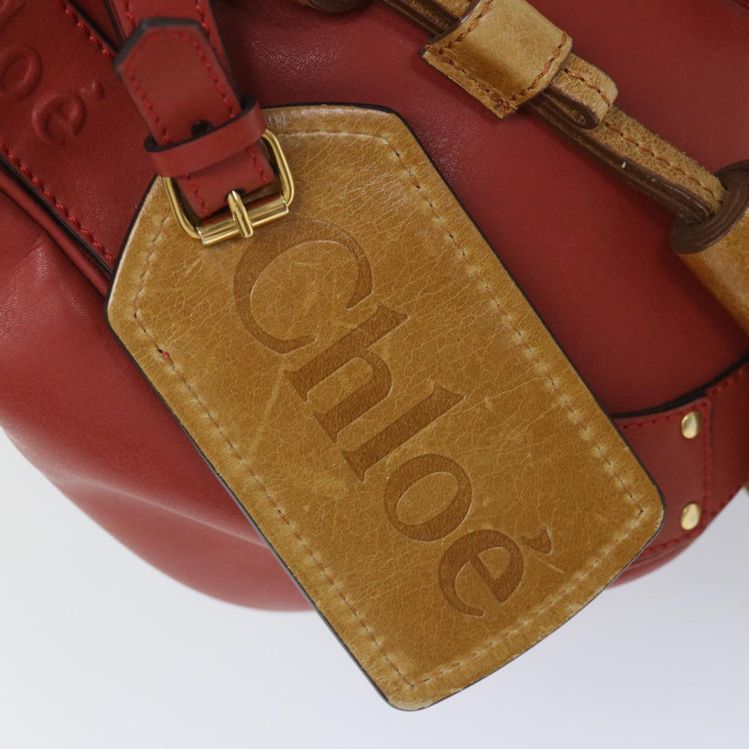 Chloe Eden Shoulder Bag Leather Red yb404