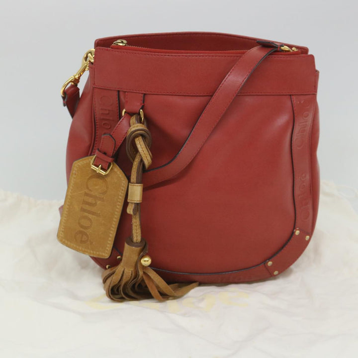 Chloe Eden Shoulder Bag Leather Red yb404
