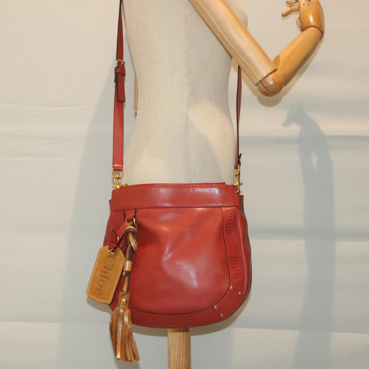 Chloe Eden Shoulder Bag Leather Red yb404