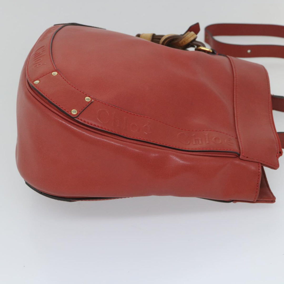 Chloe Eden Shoulder Bag Leather Red yb404