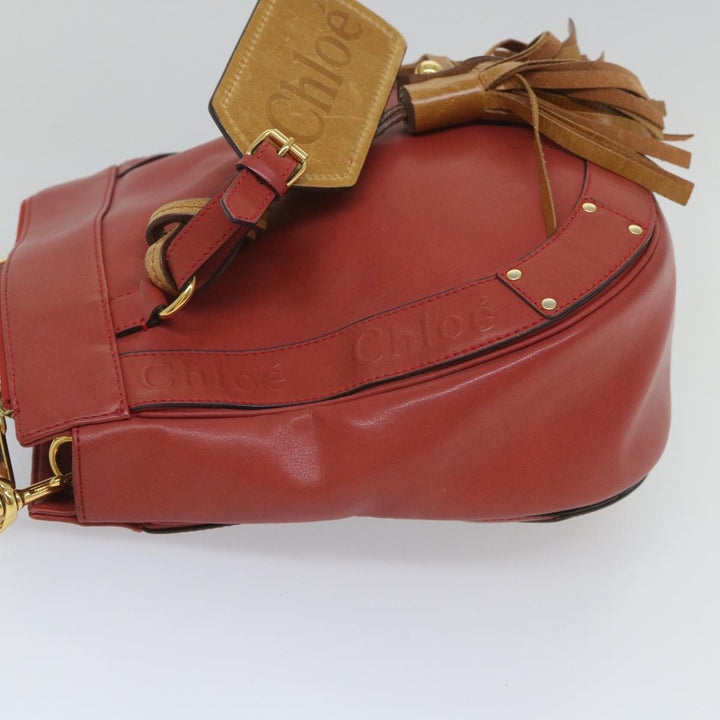 Chloe Eden Shoulder Bag Leather Red yb404