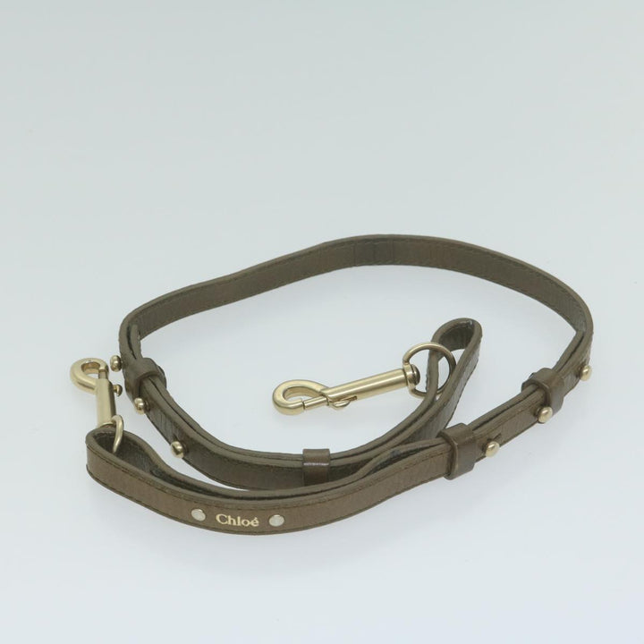 Chloe Trotter Canvas Etel Hand Bag Suede 2way Gold yk10266
