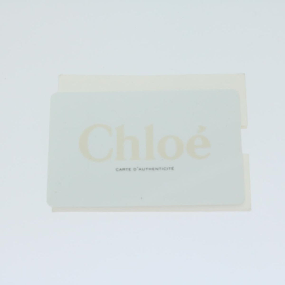 Chloe Trotter Canvas Etel Hand Bag Suede 2way Gold yk10266