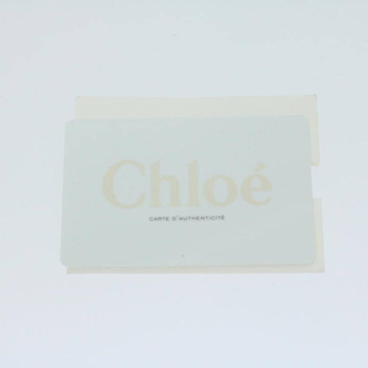 Chloe Trotter Canvas Etel Hand Bag Suede 2way Gold yk10266