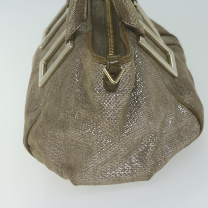 Chloe Trotter Canvas Etel Hand Bag Suede 2way Gold yk10266