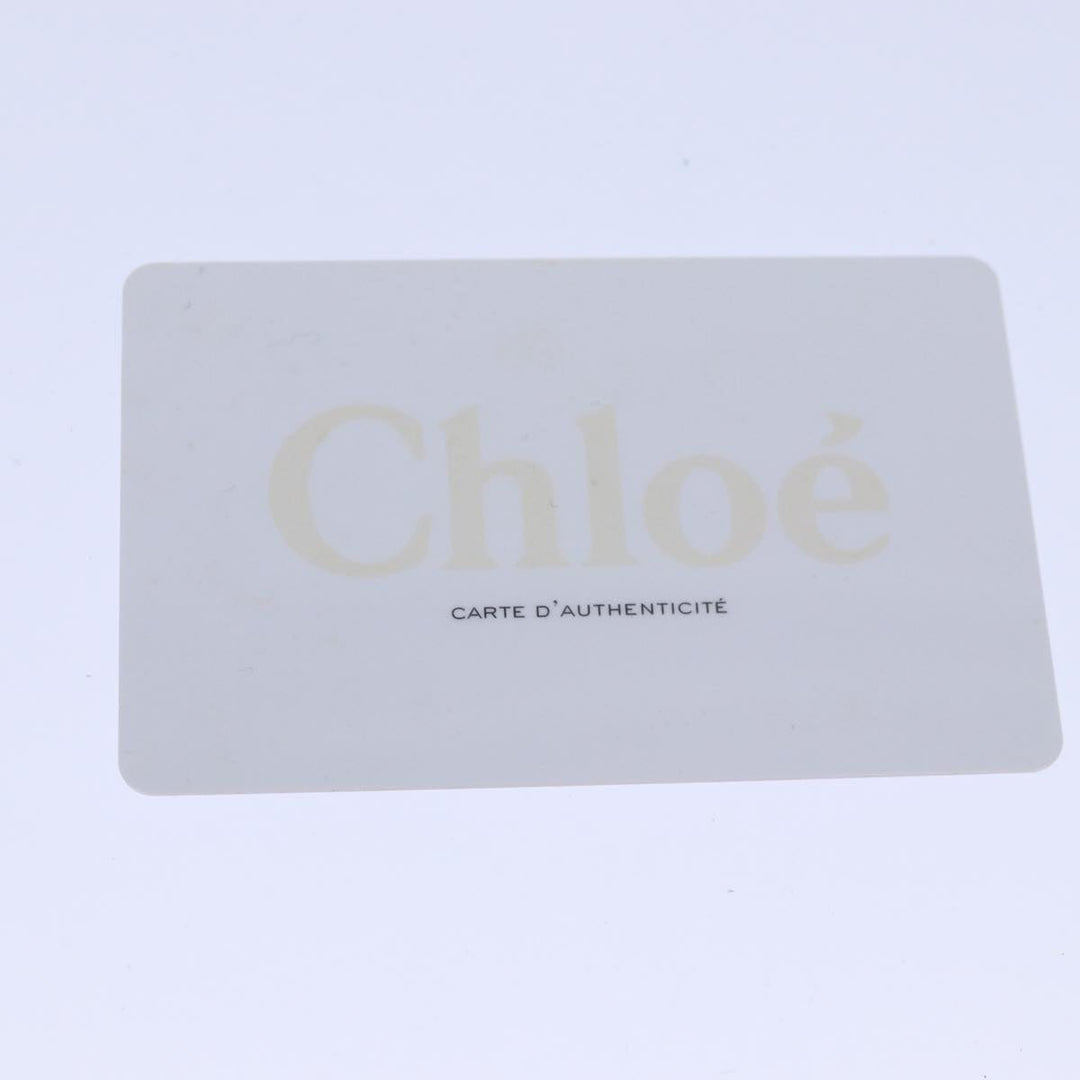 Chloe Paddington Accessory Pouch Leather Vanilla yk13793